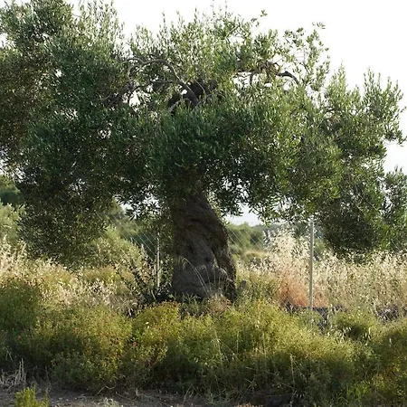 빌라 Alterra Eco *